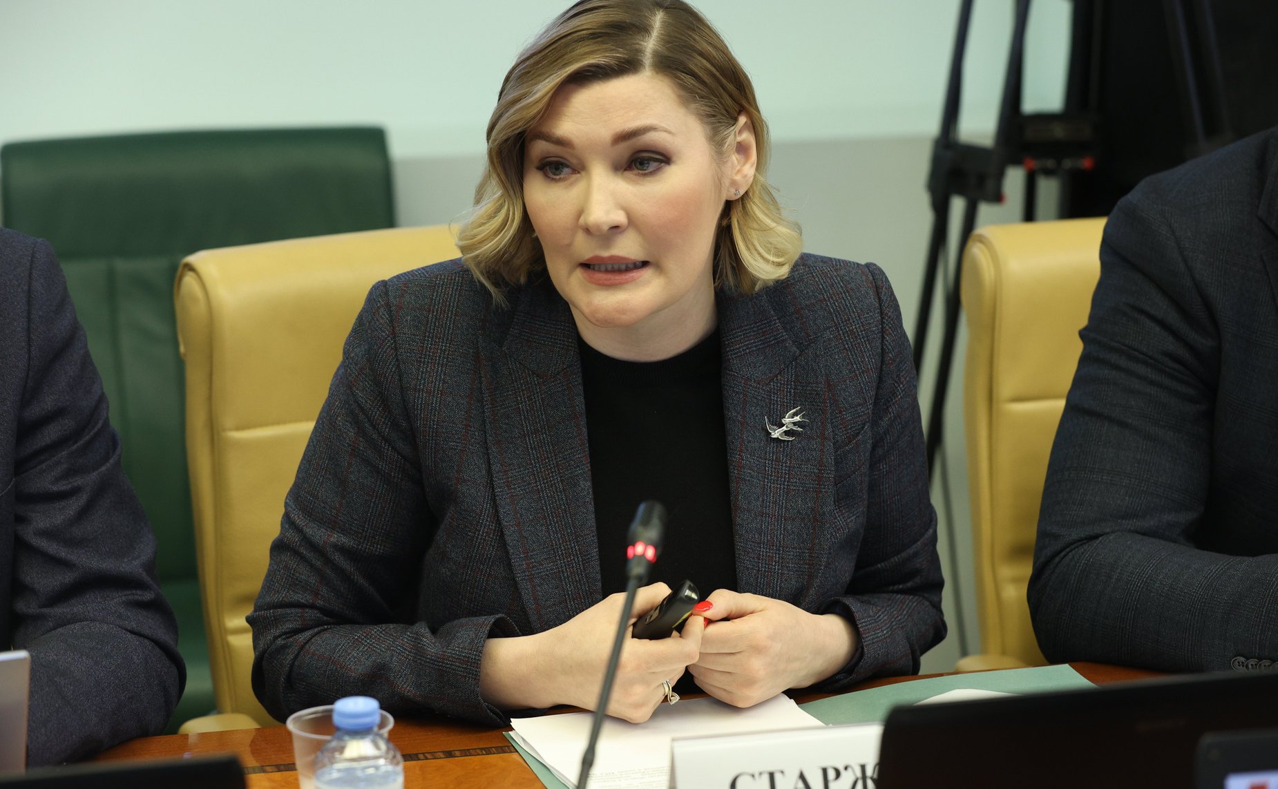 Расширенное заседание Комитета СФ по социальной политике (в рамках Дней Архангельской области в СФ)