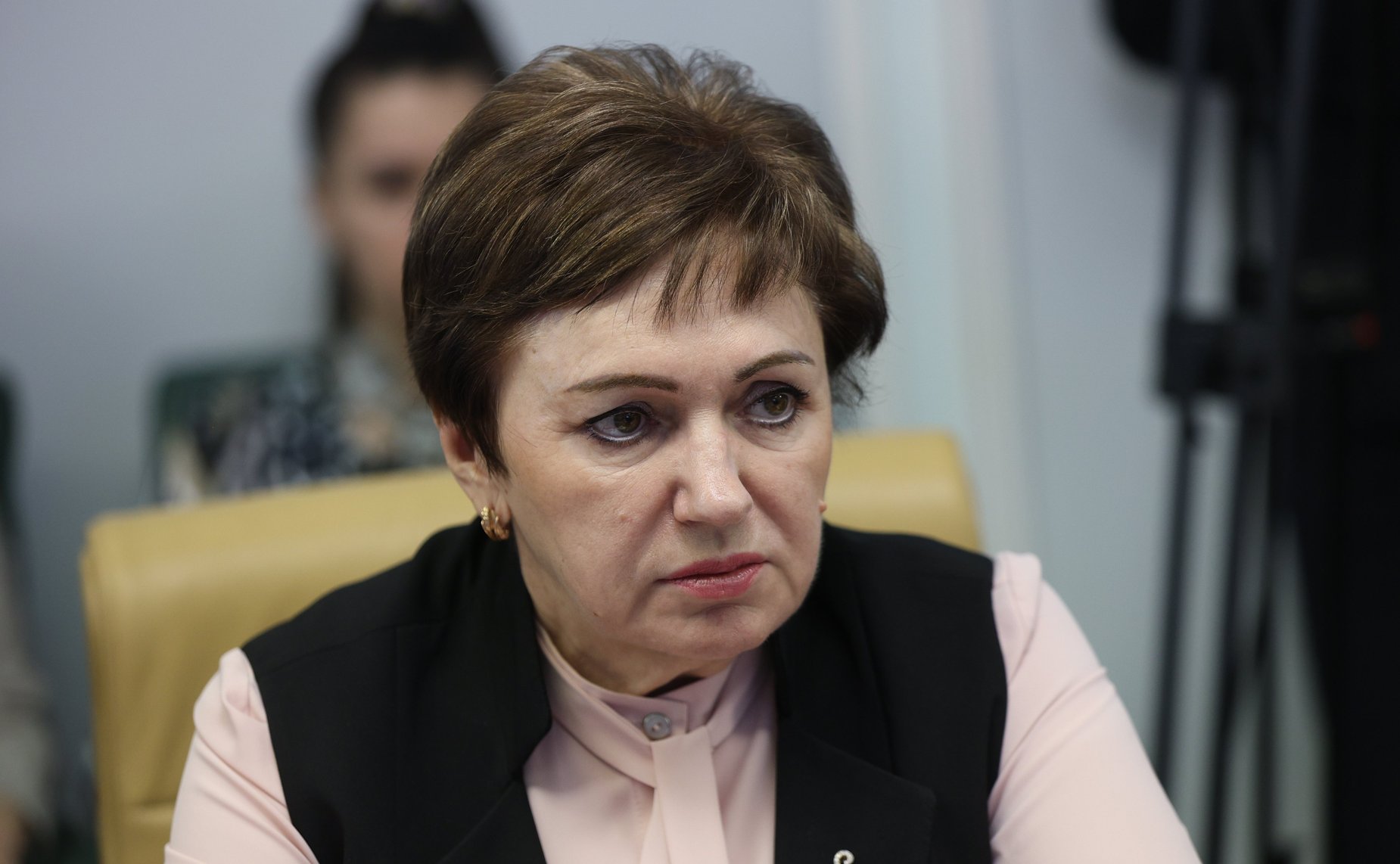 Елена Бибикова