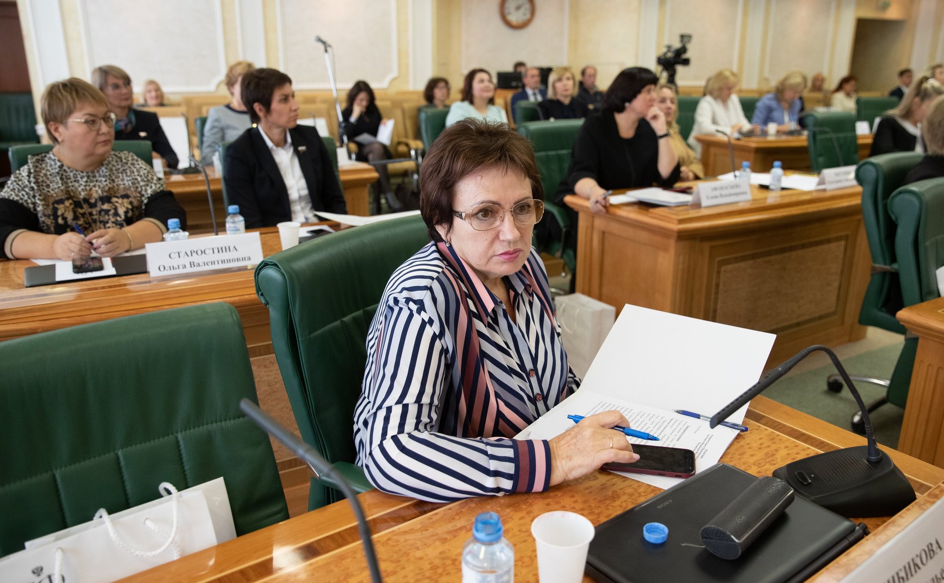 Елена Бибикова