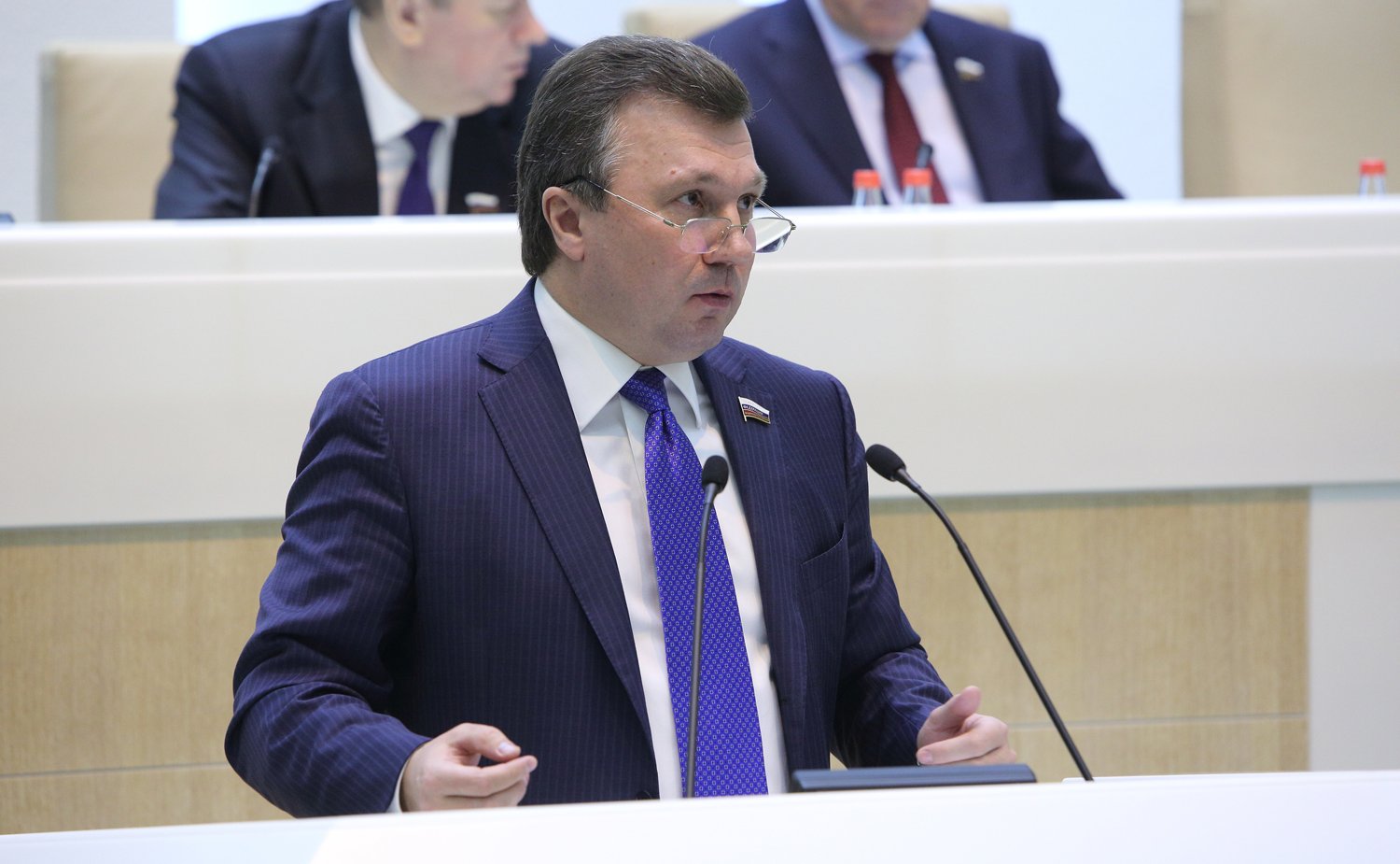 343-е заседание СФ-65 Васильев