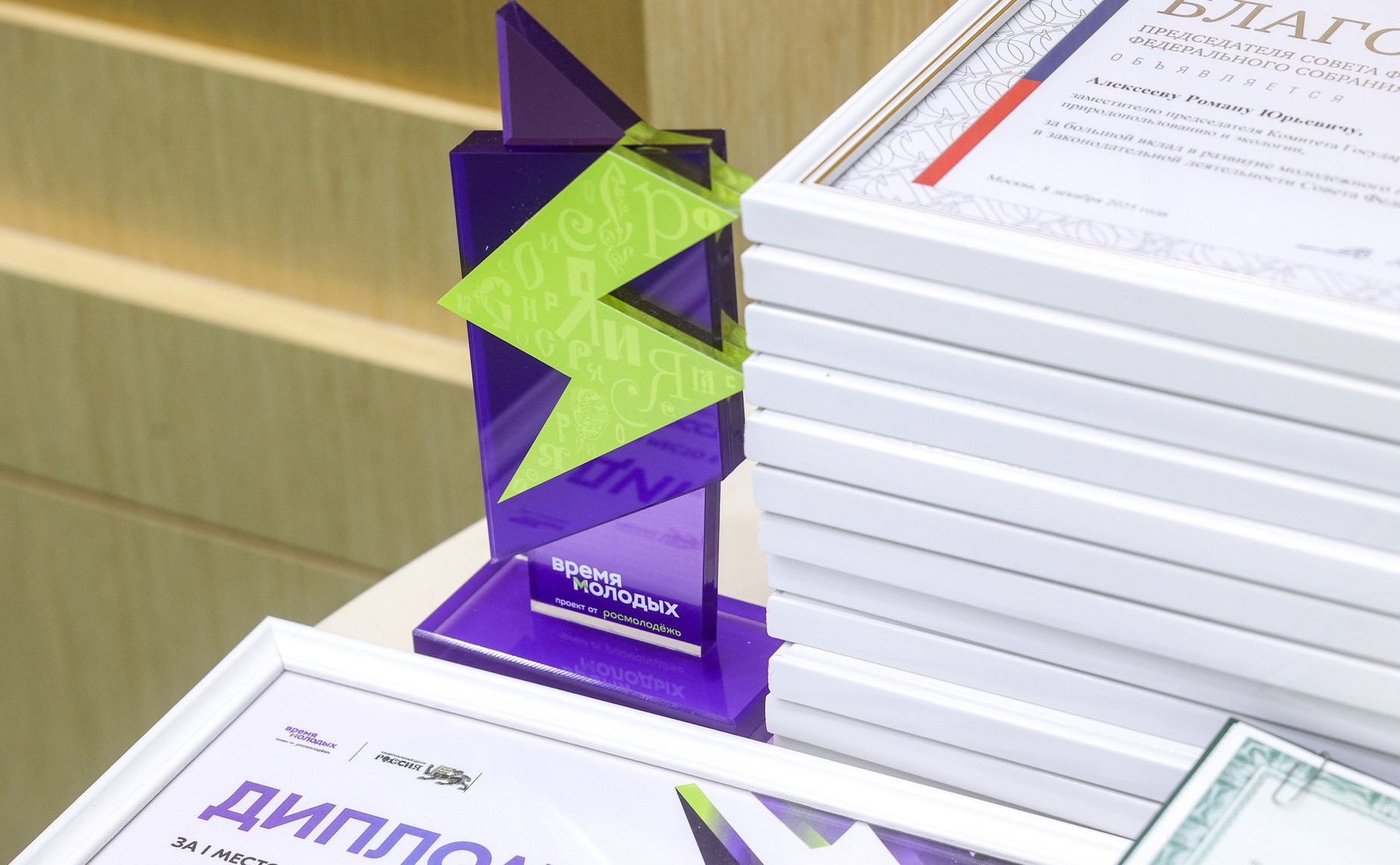 Заседание Палаты молодых законодателей при Совете Федерации