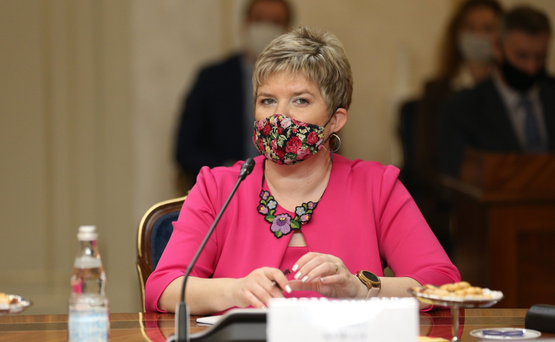 Встреча Председателя Совета Федерации Валентины Матвиенко с Председателем Народной скупщины Республики Сербии Ивицей Дачичем