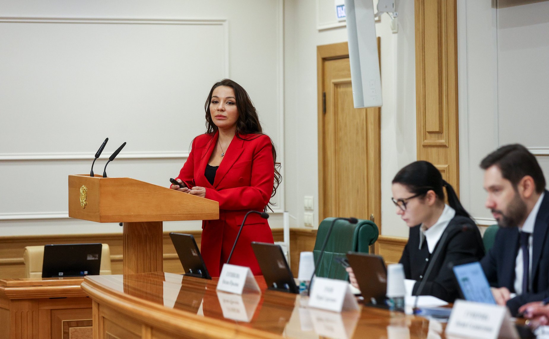 Круглый стол Комитета Совета Федерации по науке, образованию и культуре «Интеллектуальная собственность в материальном выражении: мода, промышленный дизайн, архитектура»