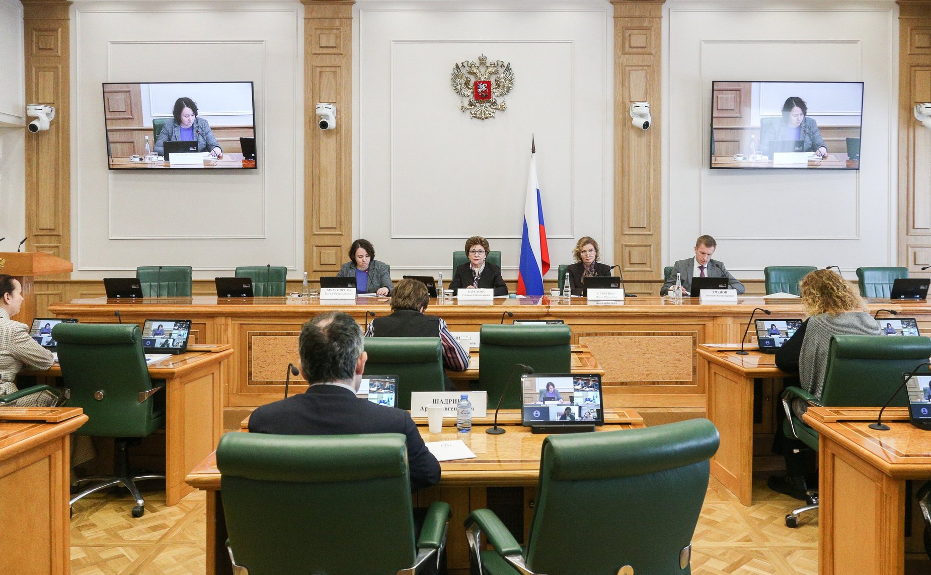 Галина Карелова провела заседание Совета по развитию социальных инноваций субъектов РФ при СФ