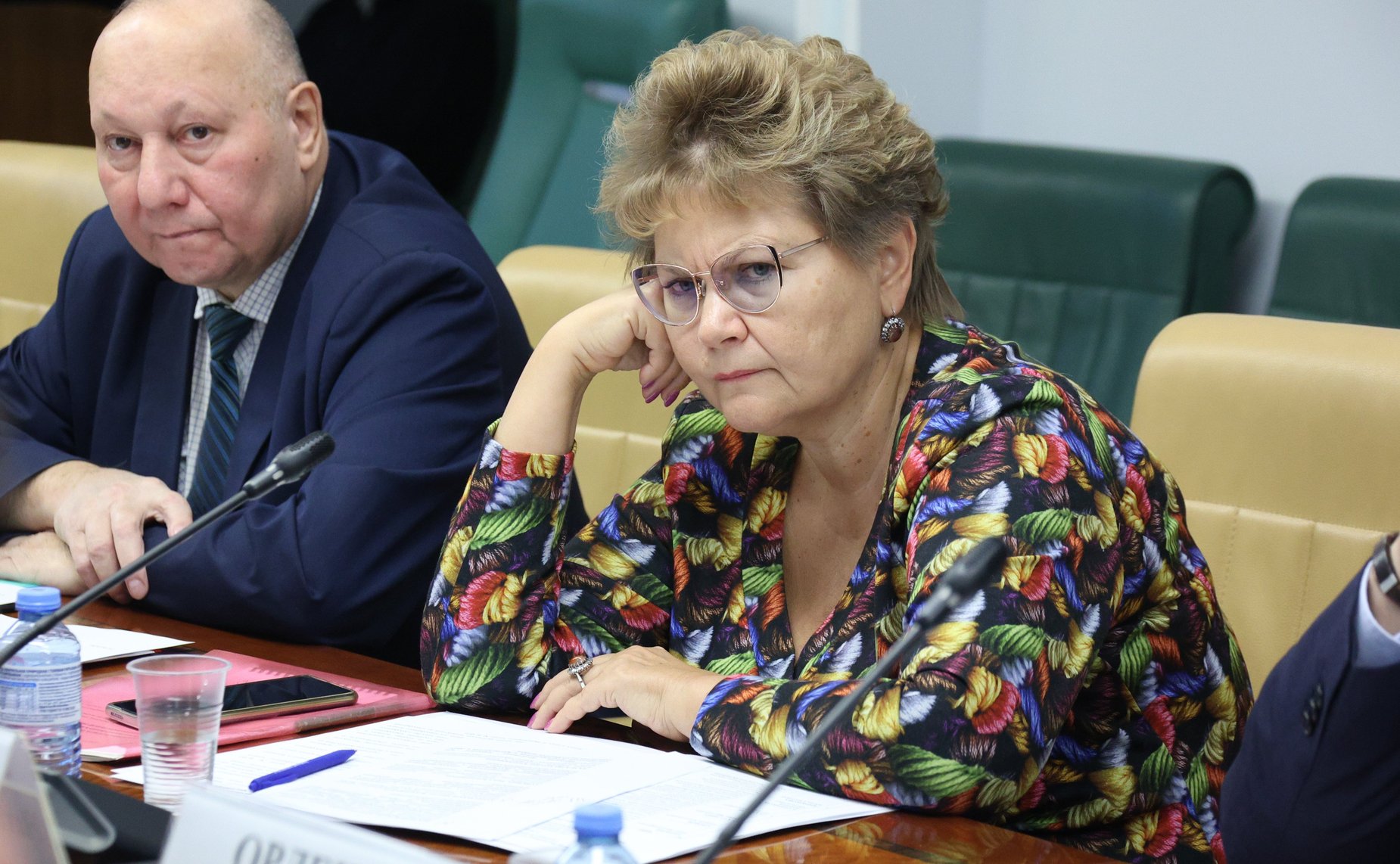 Круглый стола Комитета СФ по конституционному законодательству и государственному строительству «Актуальные проблемы разграничения уголовной и административной ответственности за незаконные действия, причиняющие вред атмосферному воздуху»