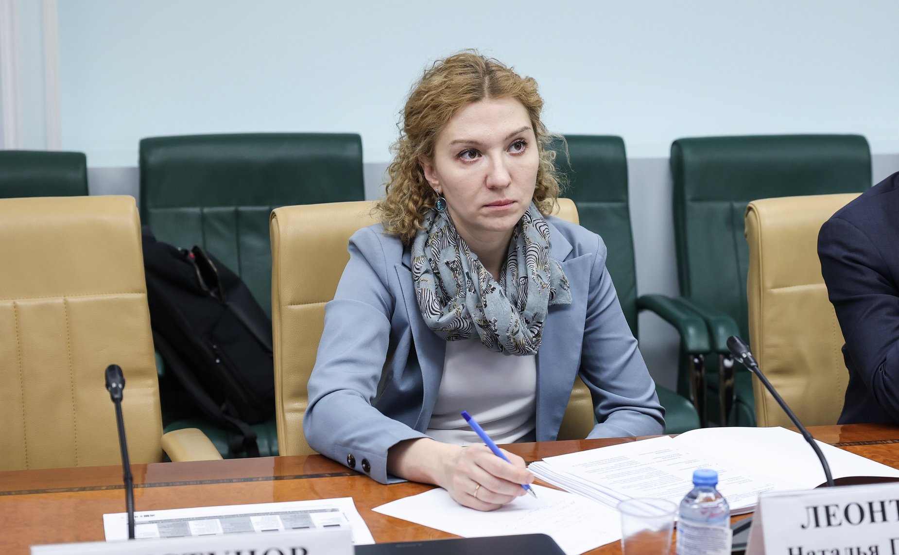 Круглый стол Комитета СФ по экономической политике на тему «Развитие низкоуглеродной энергетики в РФ: возобновляемые источники энергии, производство водорода, системы накопления энергии»