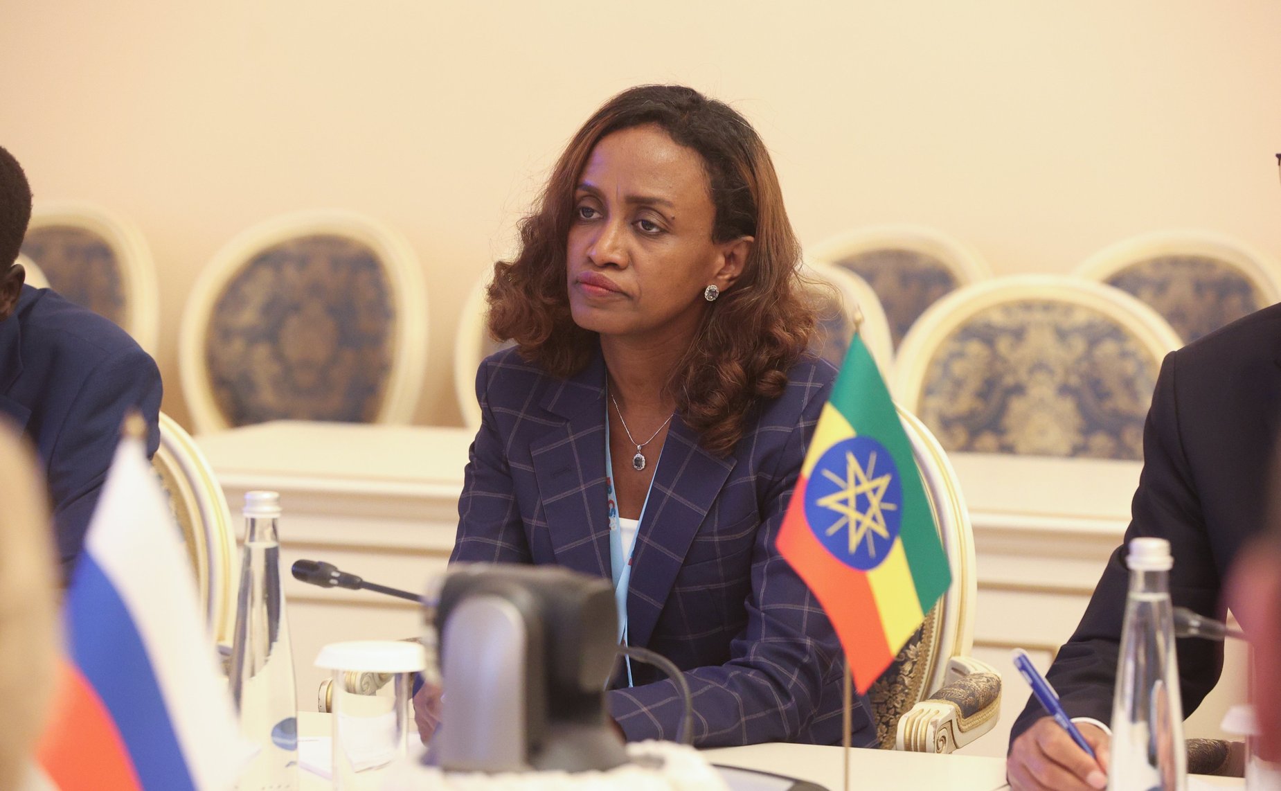 Валентина Матвиенко провела встречу с Председателем Совета Федерации Парламента Эфиопии