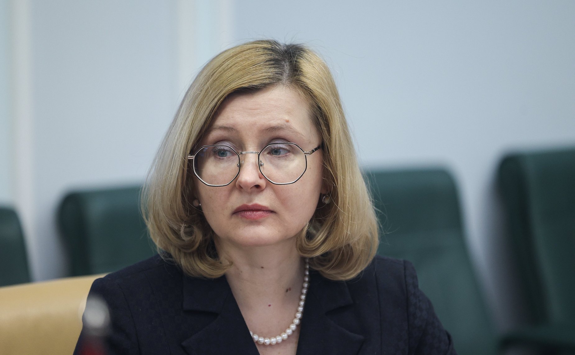 Встреча председателя Комитета Совета Федерации по международным делам Григория Карасина с наблюдателями от Международной парламентской ассамблеи АСЕАН (АИПА)