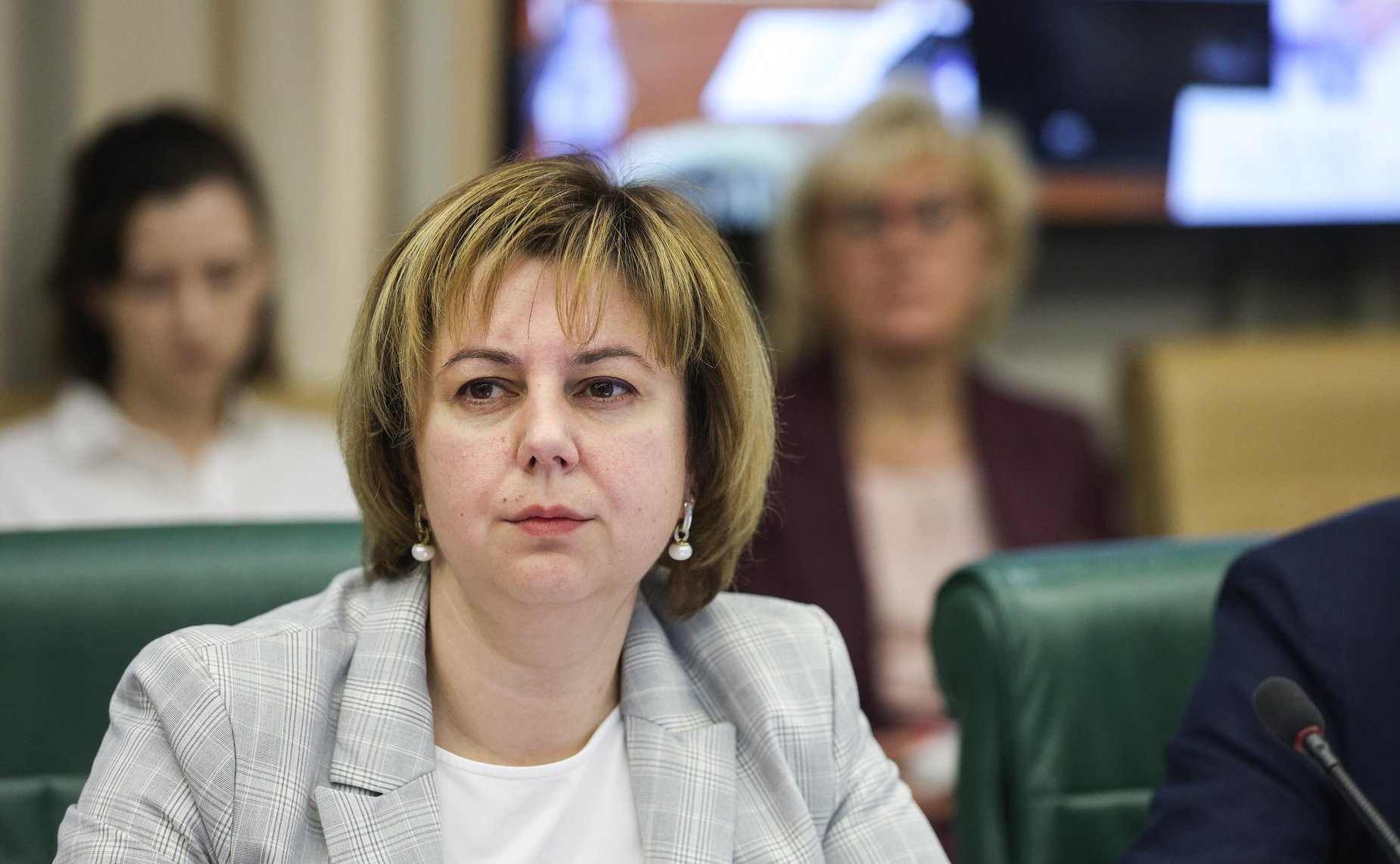 Круглый стол Комитета СФ по науке, образованию и культуре