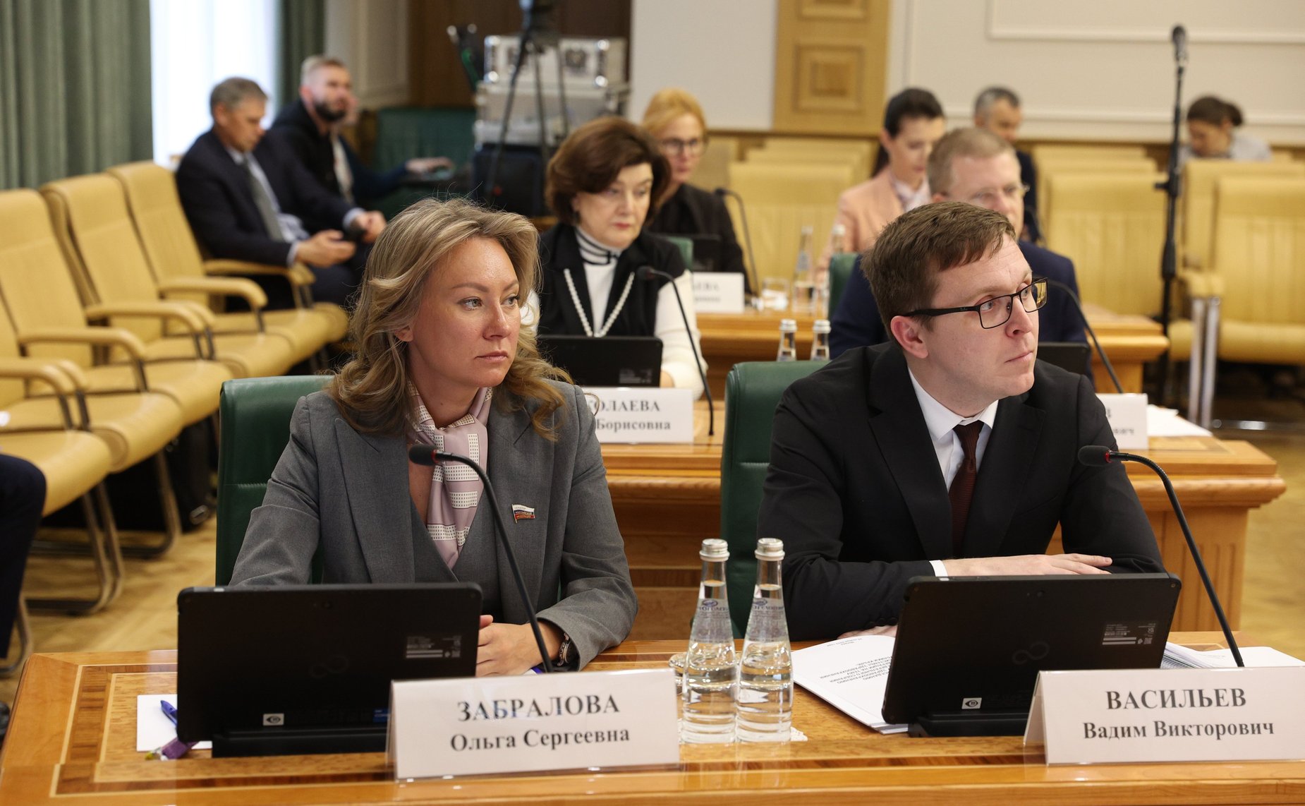 Расширенное заседание Совета по региональному здравоохранению при Совете Федерации на тему «Проблемы развития системы здравоохранения Республики Крым»