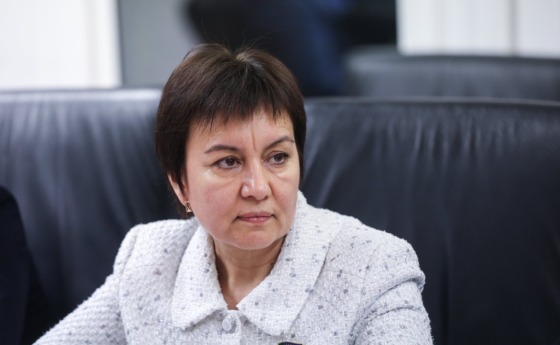 Встреча членов Комитета СФ по федеративному устройству, региональной политике, МСУ и делам Севера с представителями органов местного самоуправления из Республики Татарстан