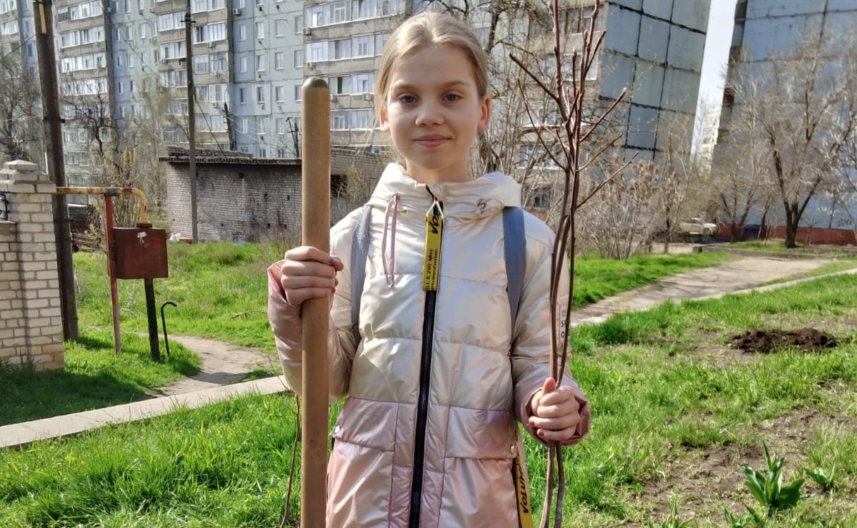 Александр Никитин передал посадочный материал — саженцы рябины и сосны из питомника г. Мичуринска Тамбовской области для закладки аллеи в городе Краснодон Луганской Народной Республики