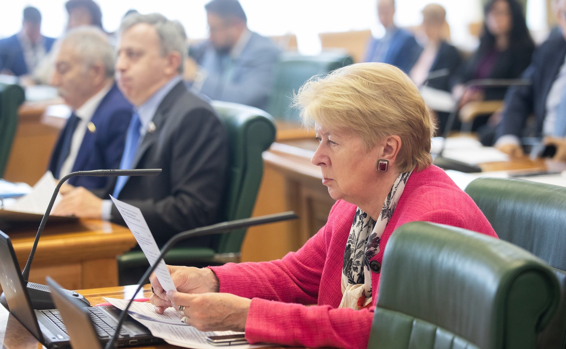 Е. Дементьева