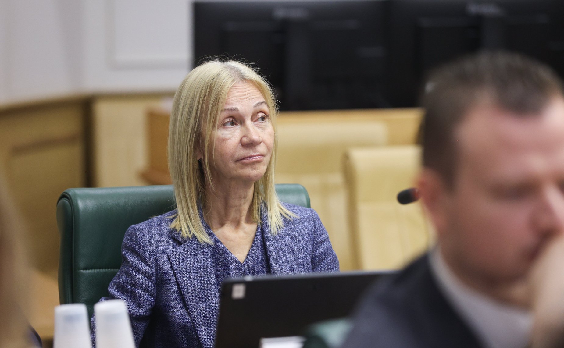 Заседание экспертно-консультативного совета при Комитете Совета Федерации по конституционному законодательству и государственному строительству