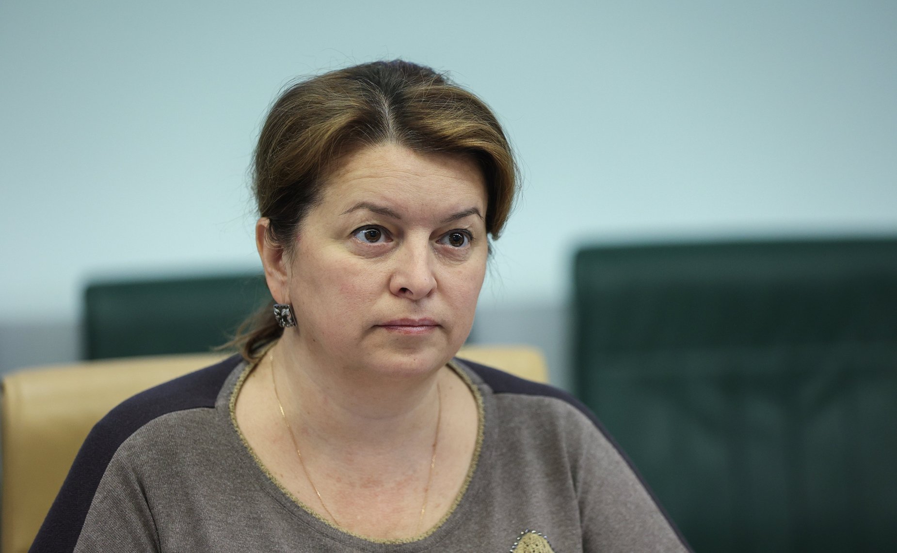 Совещание на тему «О готовности субъектов Российской Федерации к пожароопасному сезону 2023 года»