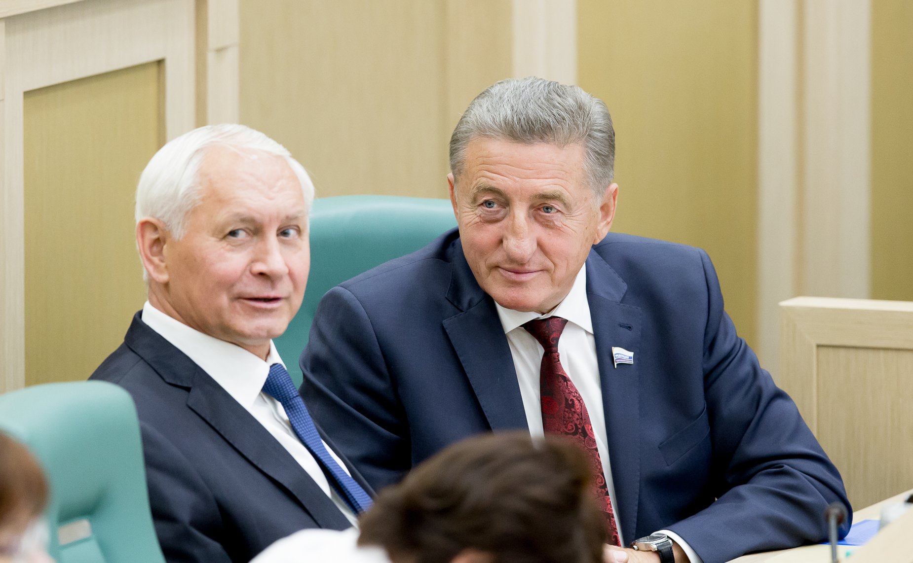 378-е заседание СФ Лукин Тихомиров