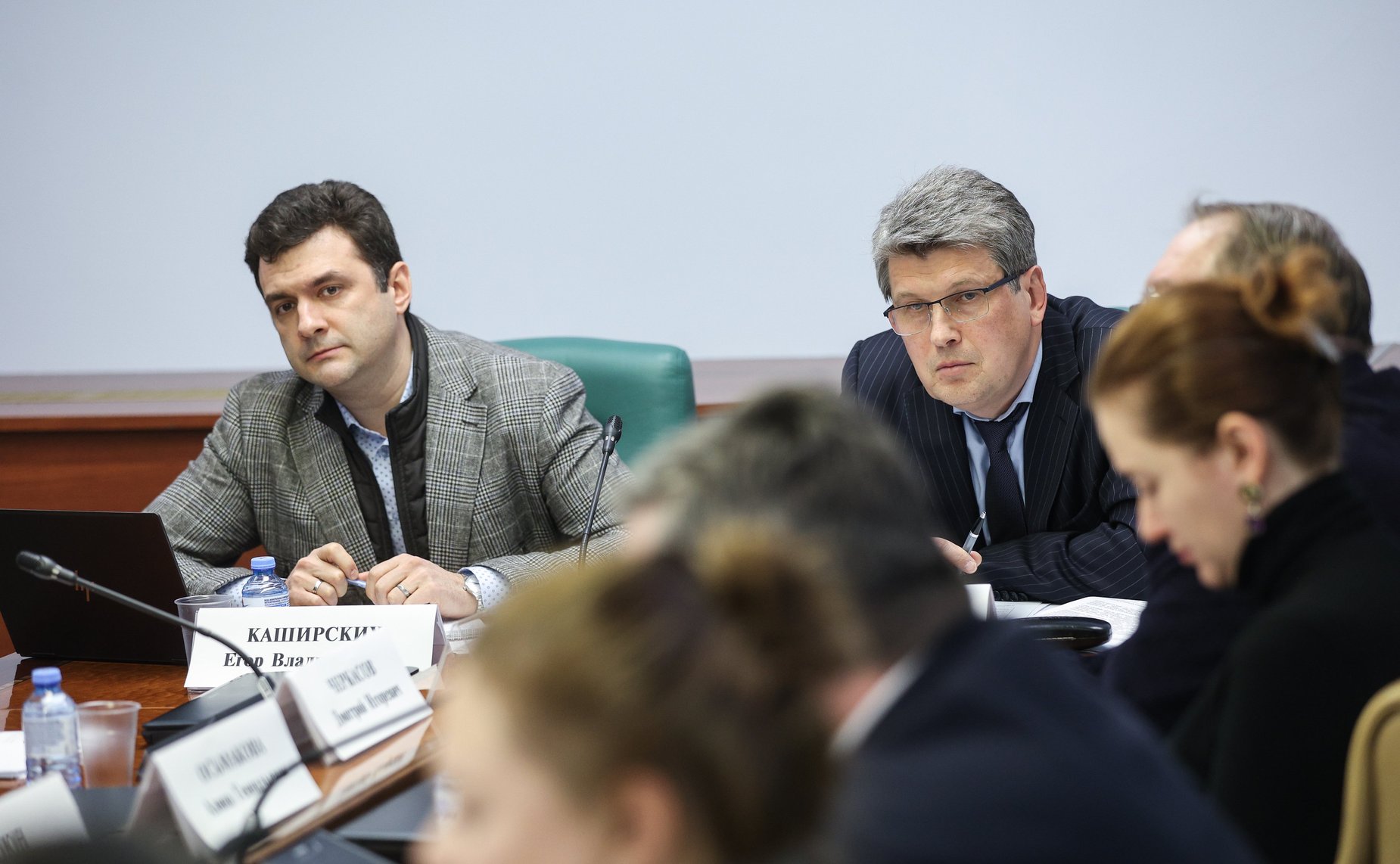 Заседание межкомитетской рабочей группы по выработке предложений по развитию производства и переработки лекарственных и эфиромасличных культур в РФ