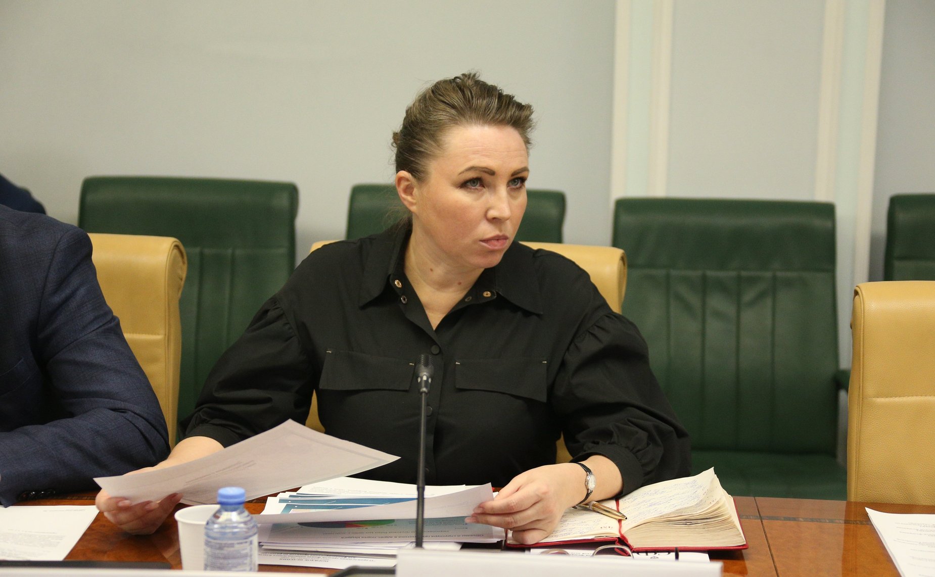 Елена Шумилова