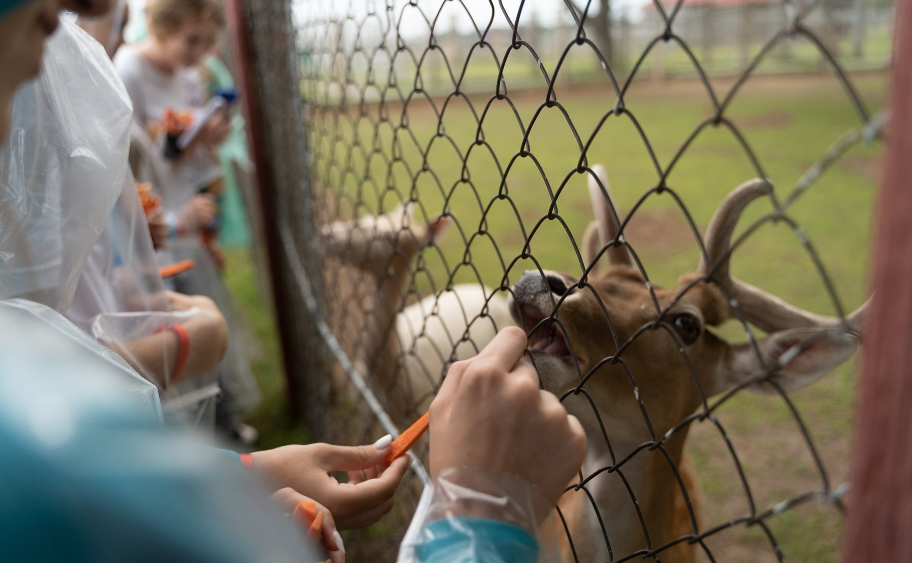 Участники культурно-образовательного проекта «Поезд Памяти» прибыли в Могилев