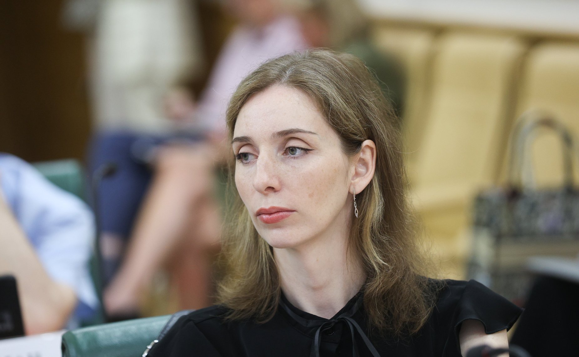 Заседание Экспертного совета Федерального агентства по делам молодежи по реализации программы гражданско-патриотического и общественно полезного молодежного туризма «Больше, чем путешествие»