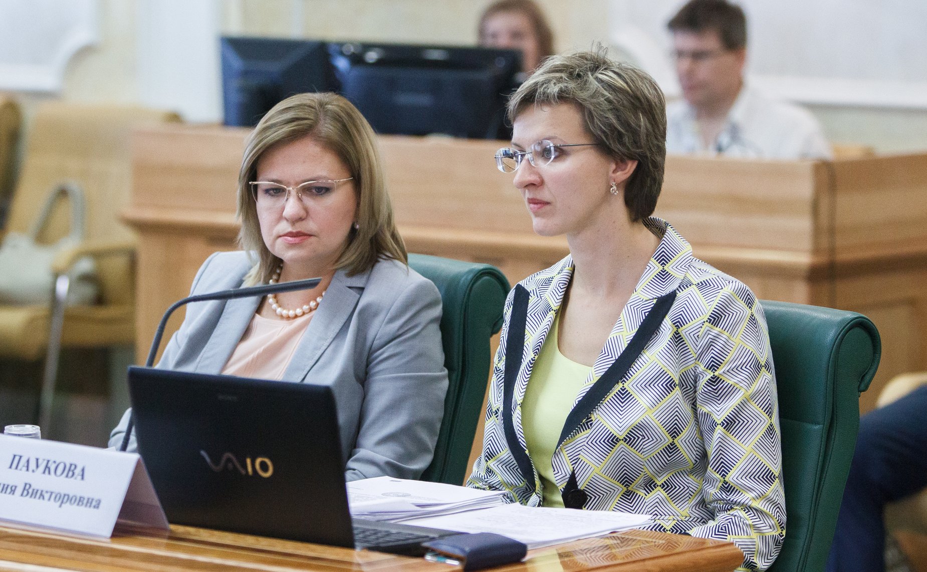 Заседание комитета СФ по конституционному законодательству-5