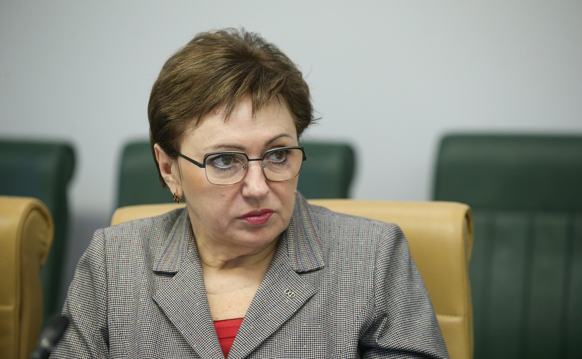 Елена Бибикова