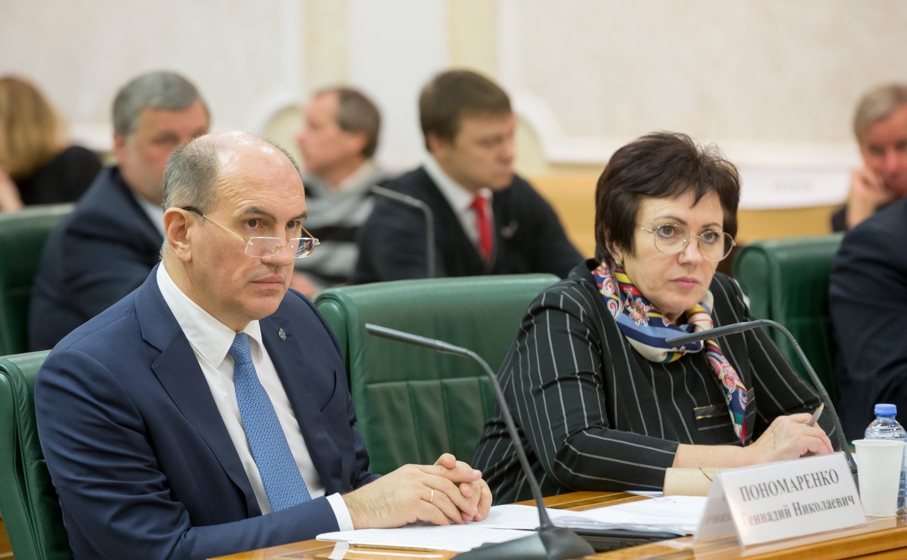 Елена Бибикова