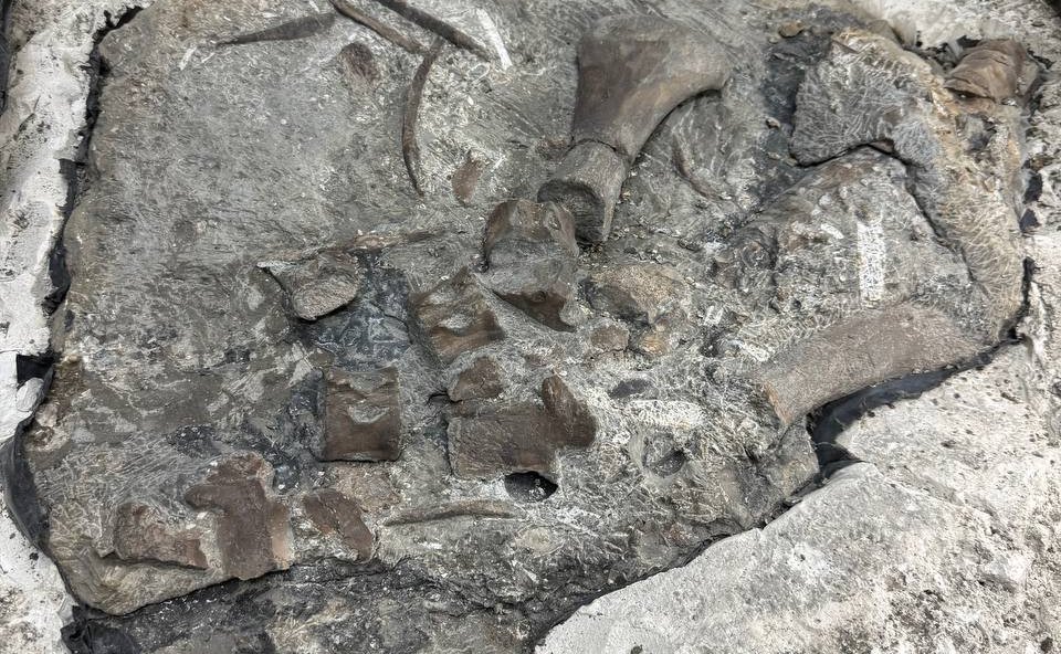 Рабочая поездка Сергея Рябухина в регион