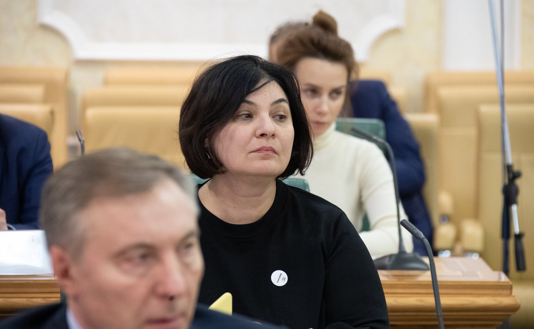 Заседание Совета по развитию социальных инноваций субъектов РФ на тему «Участие бизнеса в развитии социальной сферы регионов. Новые решения и механизмы поддержки»