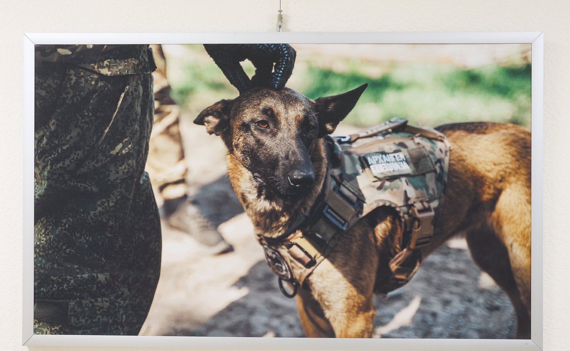 Торжественное награждение военнослужащих в рамках проведения открытия патриотической выставки фотографий военнослужащих Отдельной диверсионной штурмовой бригады «Ветераны»
