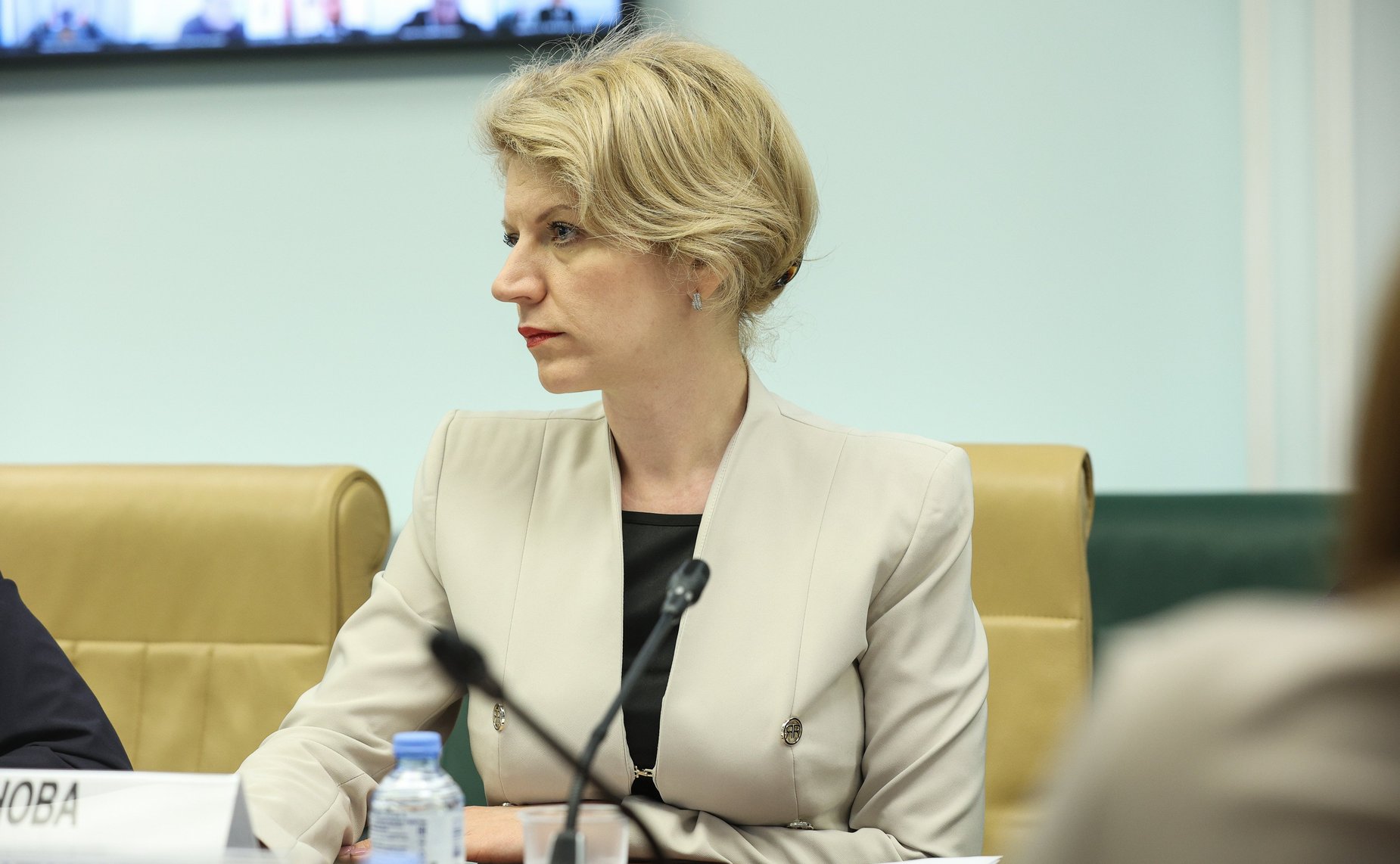 Круглый стол Комитета СФ по федеративному устройству, региональной политике, МСУ и делам Севера