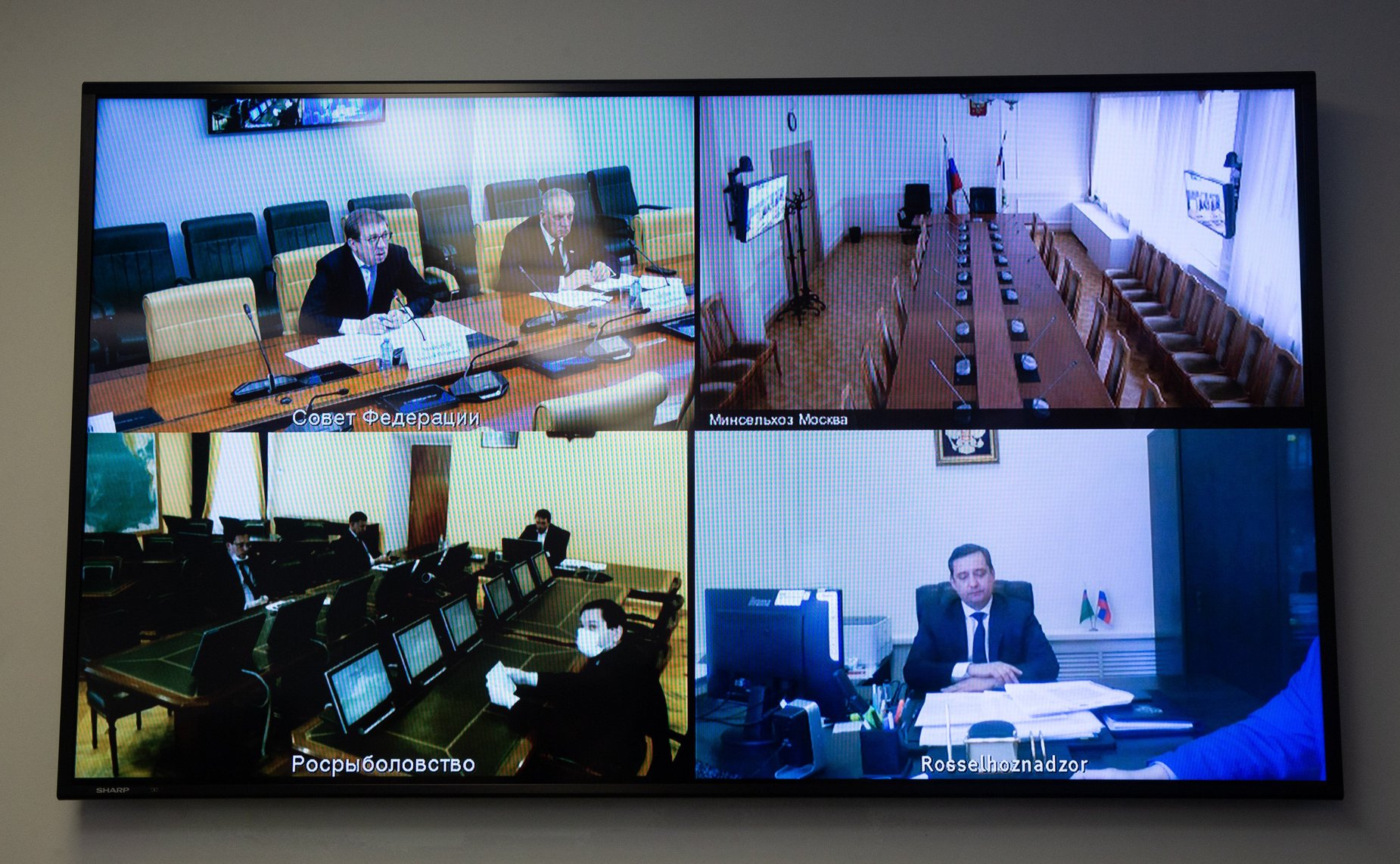 Совещание Комитета СФ по аграрно-продовольственной политике и природопользованию в режиме видеоконференции