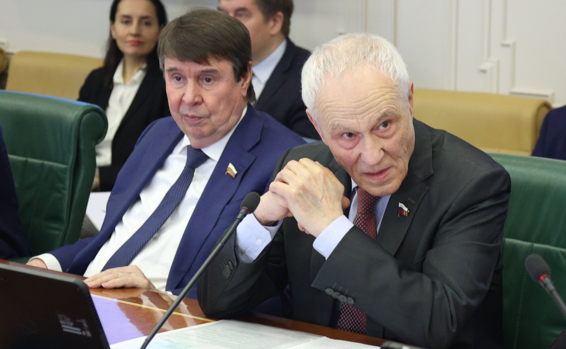 Заседание Комитета Совета Федерации по международным делам