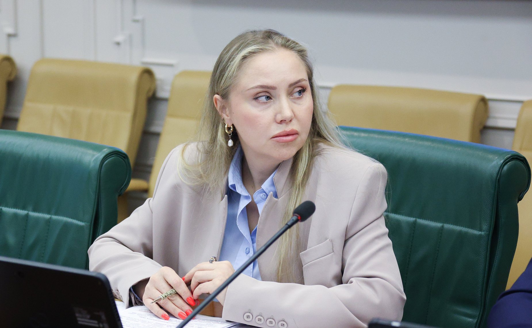 Круглый стол Комитета Совета Федерации по экономической политике на тему «Актуальные вопросы реализации национального проекта «Эффективная и конкурентная экономика»»