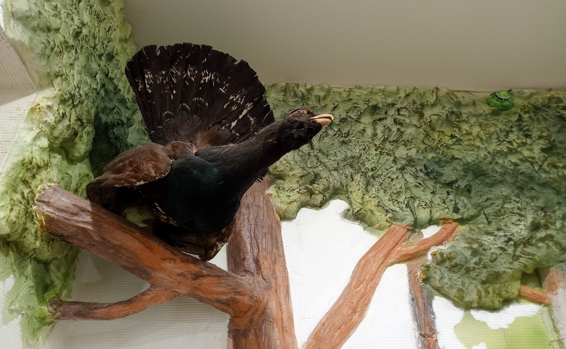 Сергей Мартынов побывал в Музее марийской сказки