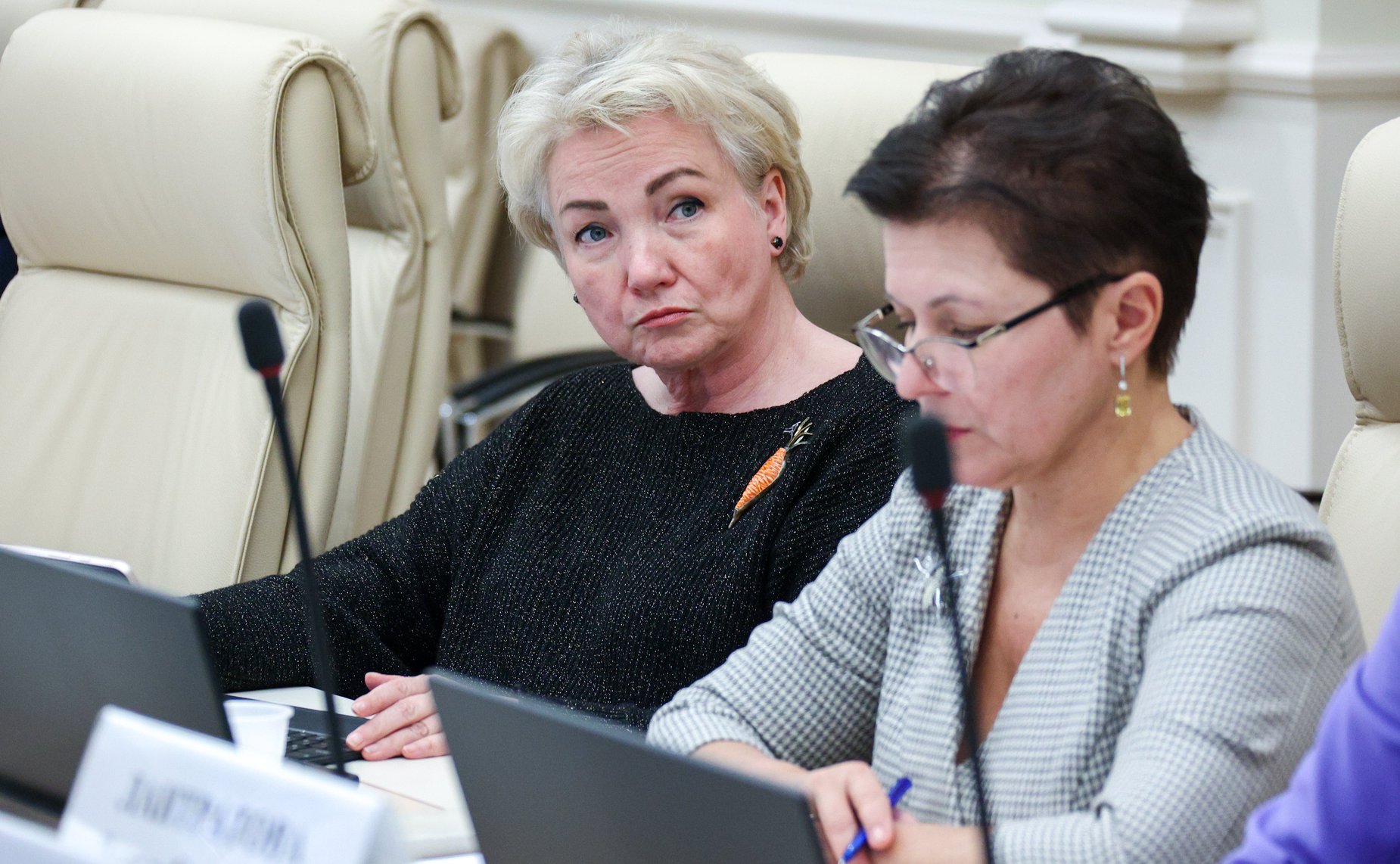 Круглый стол Комитета СФ по экономической политике совместно с Комитетом СФ по социальной политике «О реабилитации и абилитации инвалидов, в том числе из числа участников специальной военной операции, в целях их возвращения к трудовой деятельности»