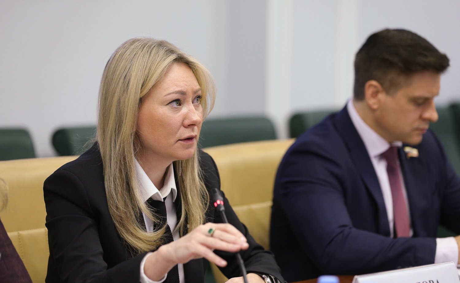 «Круглый стол» Комитета СФ по социальной политике