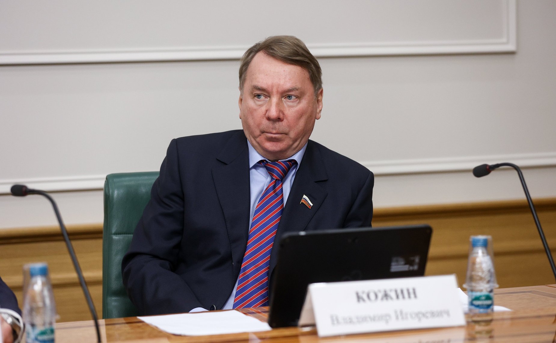 Владимир Кожин