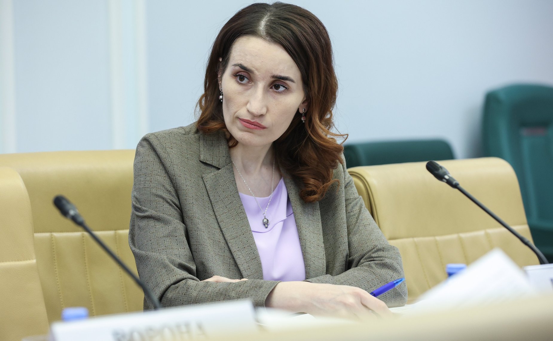 Круглый стол Комитета СФ по экономической политике