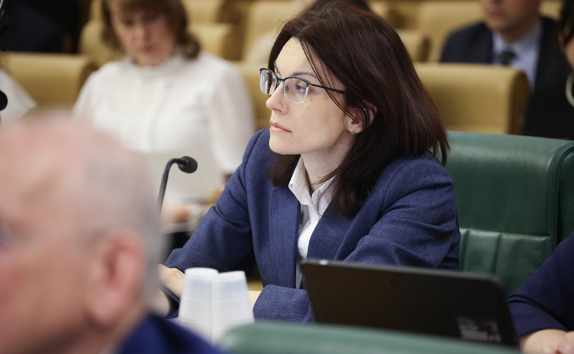 Заседание Комитета Совета Федерации по конституционному законодательству и государственному строительству