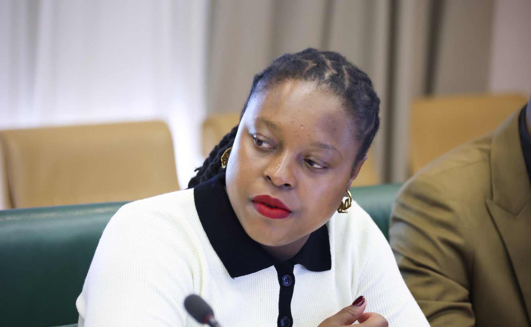 Александр Варфоломеев провел встречу с делегацией Законодательного Собрания Северо-Западной провинции Южно-Африканской Республики при участии Палаты молодых законодателей при Совете Федерации