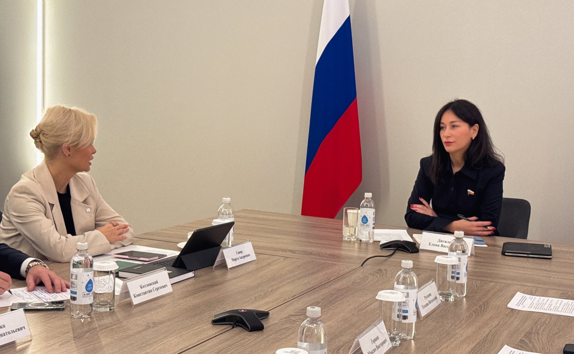 Елена Дягилева обсудила стратегии дальнейшей поддержки бизнеса в Мурманской области с представителями объединений и профильных ведомств