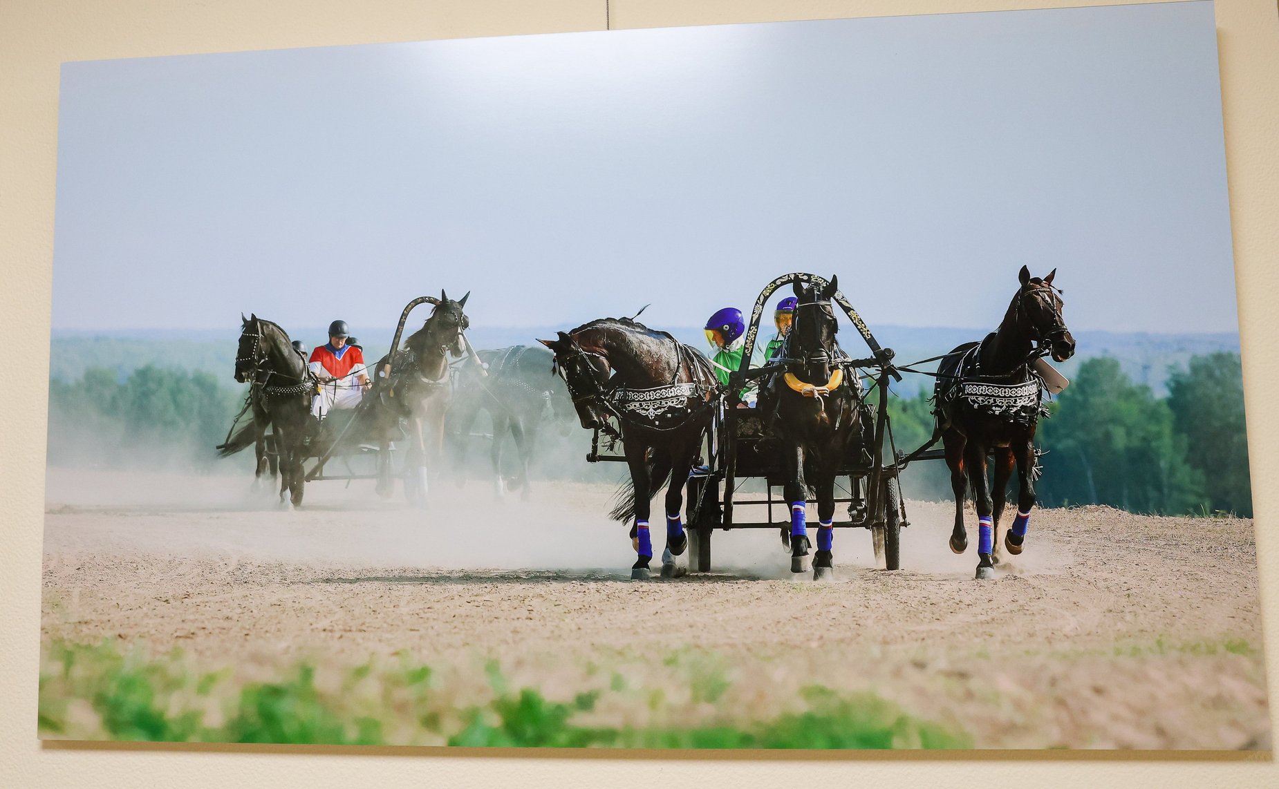 В Совете Федерации прошла церемония открытия выставки «250-летие Орловской рысистой породы лошадей»