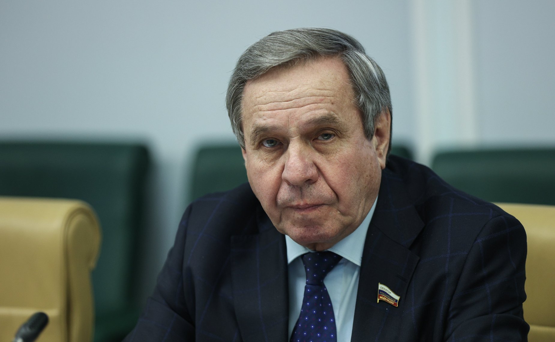 Владимир Городецкий