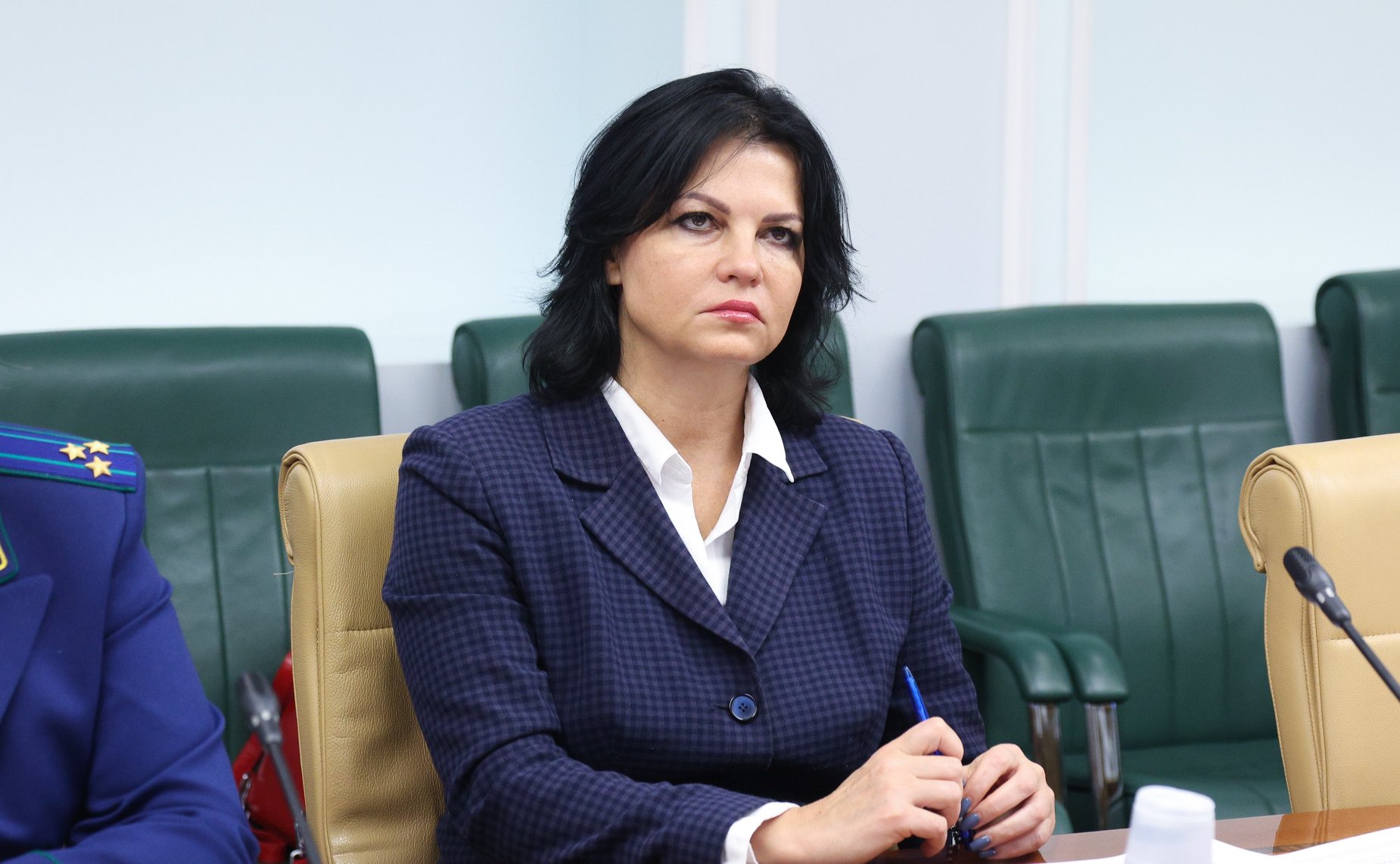 Совещание Комитета СФ по экономической политике «Вопросы реализации законодательства Российской Федерации в отношении системообразующих территориальных сетевых организаций»