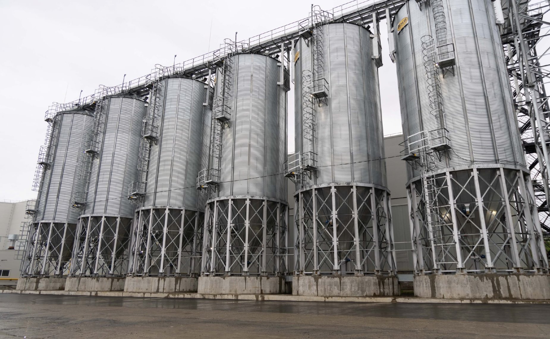 Игорь Зубарев принял участие в церемонии открытия нового завода по производству кормов для ценных пород рыб