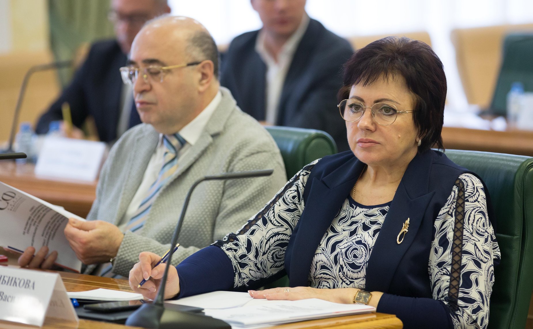 Елена Бибикова