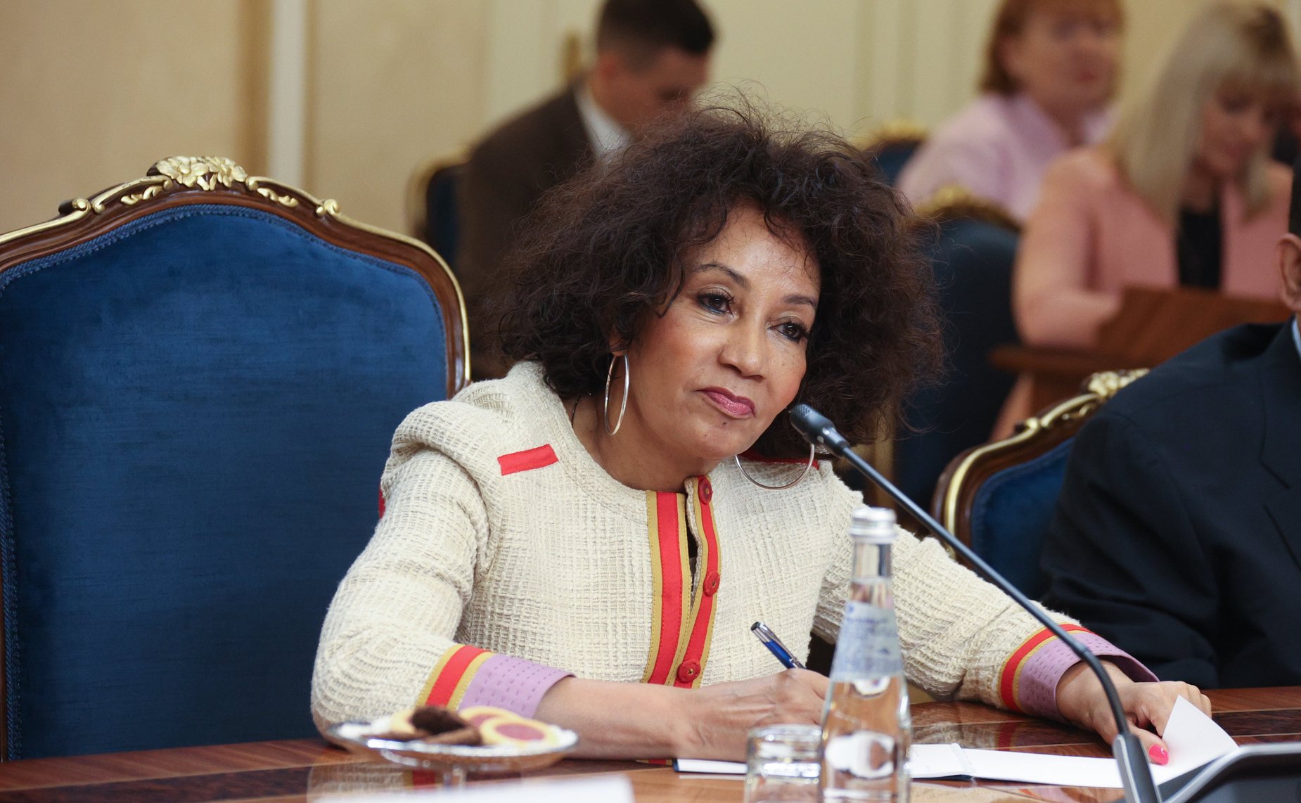 Встреча заместителя Председателя СФ Галины Кареловой с Министром туризма Южно-Африканской Республики Линдиве Сисулу