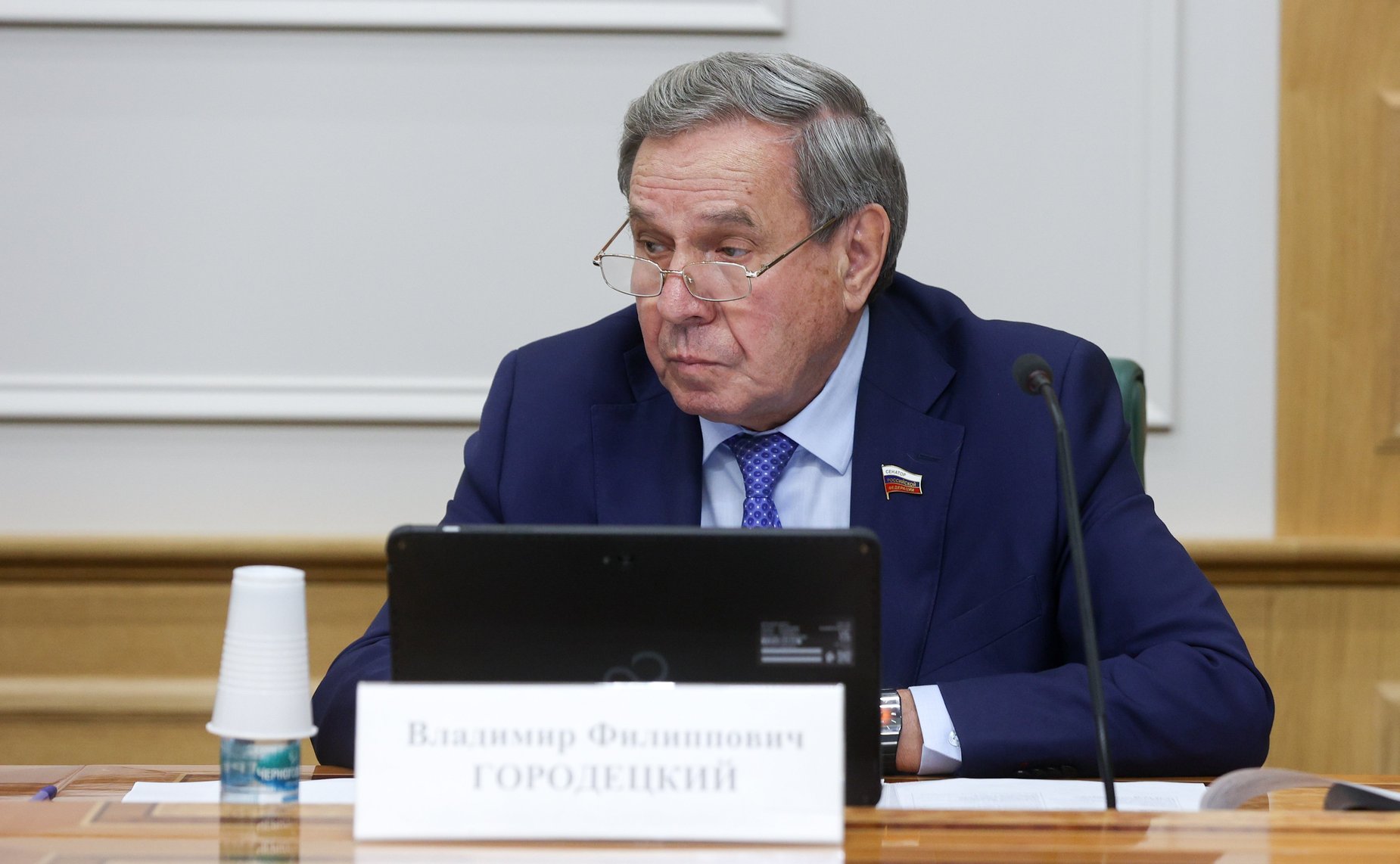 Владимир Городецкий