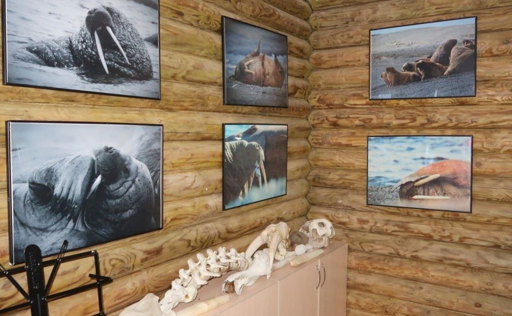 Денис Гусев провёл рабочую встречу с директором ФГБУ «Государственный природный заповедник «Ненецкий» Станиславом Золотым